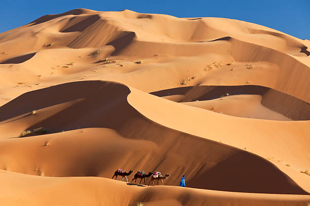 10 Days Cultural Tour and Desert Nomadic Experience