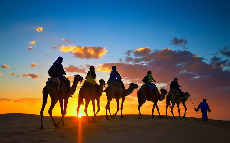 Camel Trekking in the Sahara