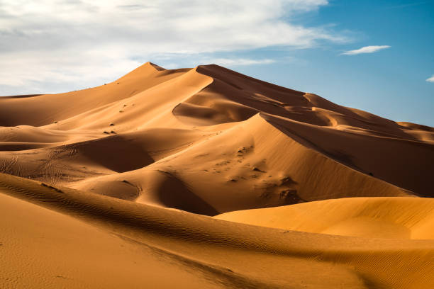 Tour de 6 días por las ciudades imperiales y el desierto del Sáhara desde Agadir