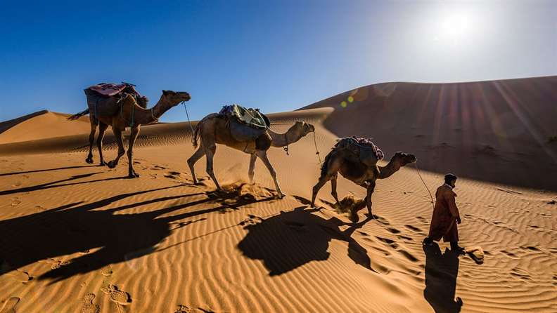 Senderismo en camello por el Sahara