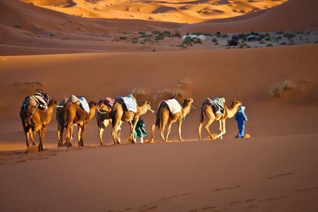 Tour de 4 días por el desierto del Sáhara