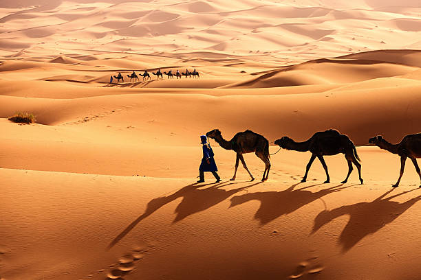 Recorrido de Marrakech al desierto de Zagora