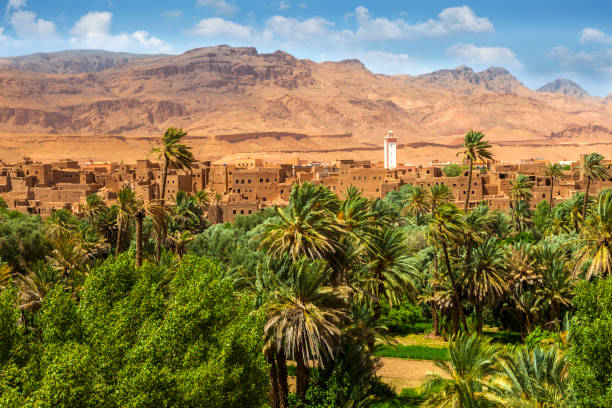 Tour de Marrakech al Sáhara y Fez